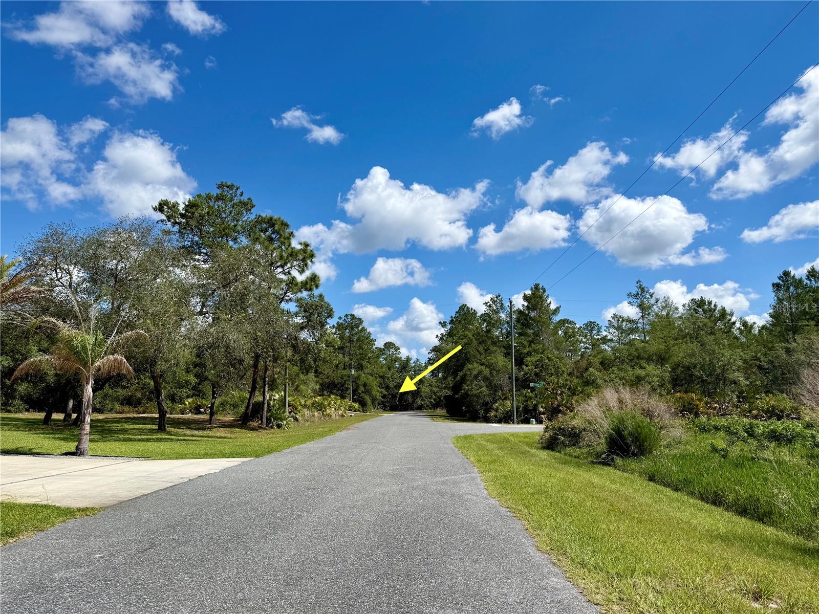 LOT 1 JERICHO TRL, EUSTIS, FL — photo 12