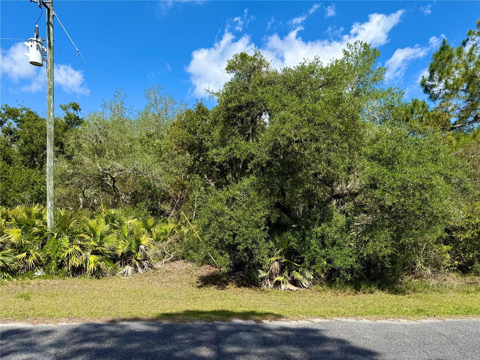 LOT 1 JERICHO TRL, EUSTIS, FL — photo 15
