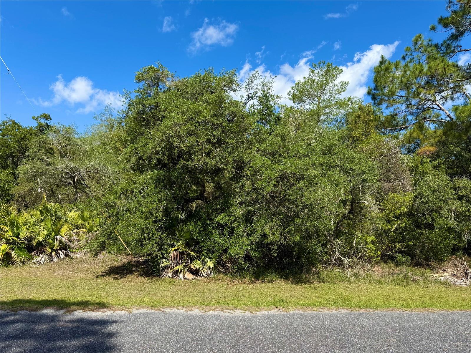 LOT 1 JERICHO TRL, EUSTIS, FL — photo 18