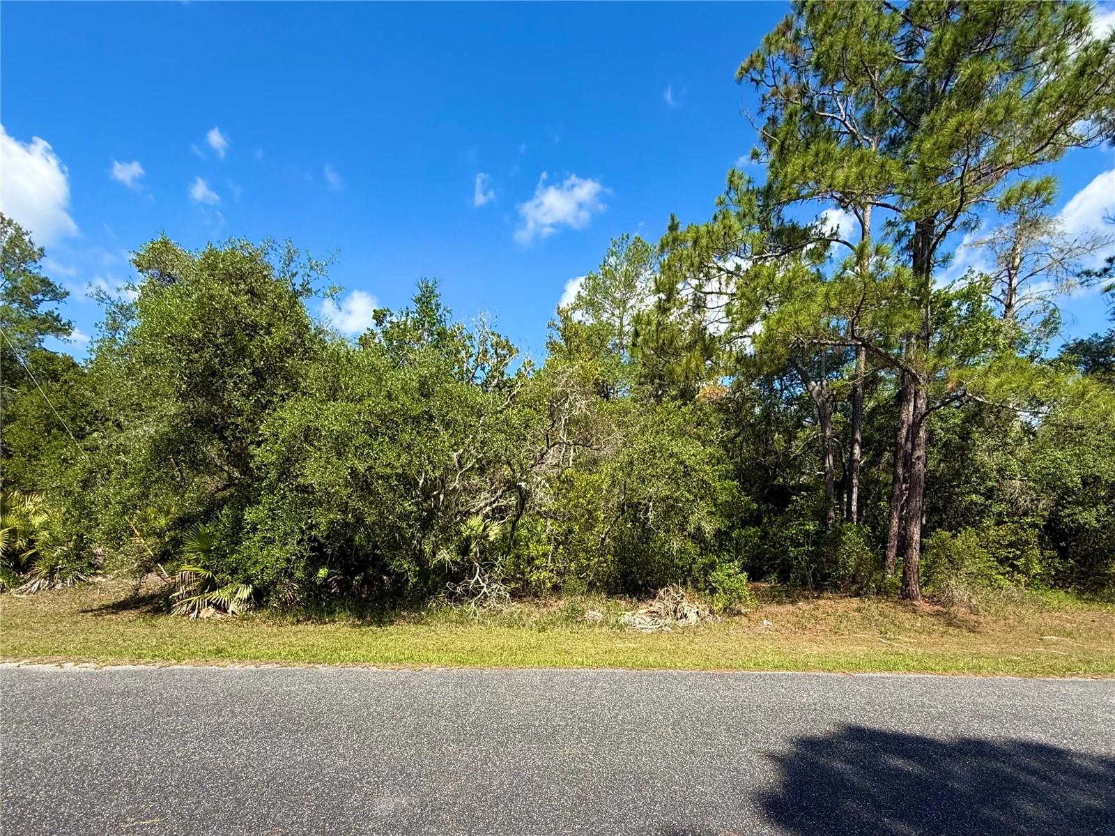 LOT 1 JERICHO TRL, EUSTIS, FL — photo 20