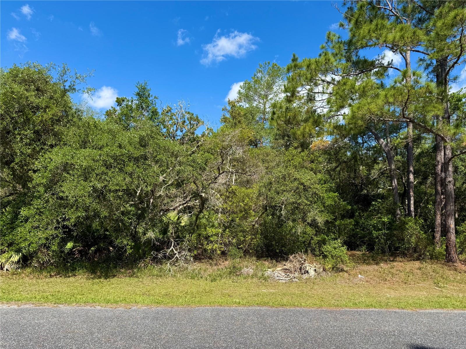 LOT 1 JERICHO TRL, EUSTIS, FL — photo 21