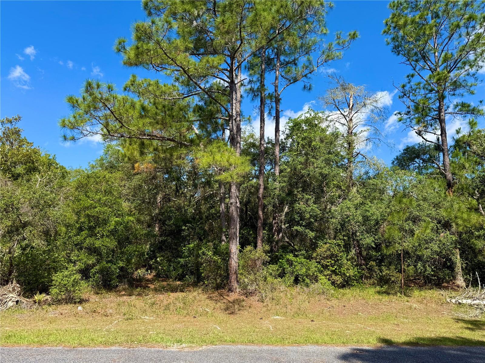 LOT 1 JERICHO TRL, EUSTIS, FL — photo 23