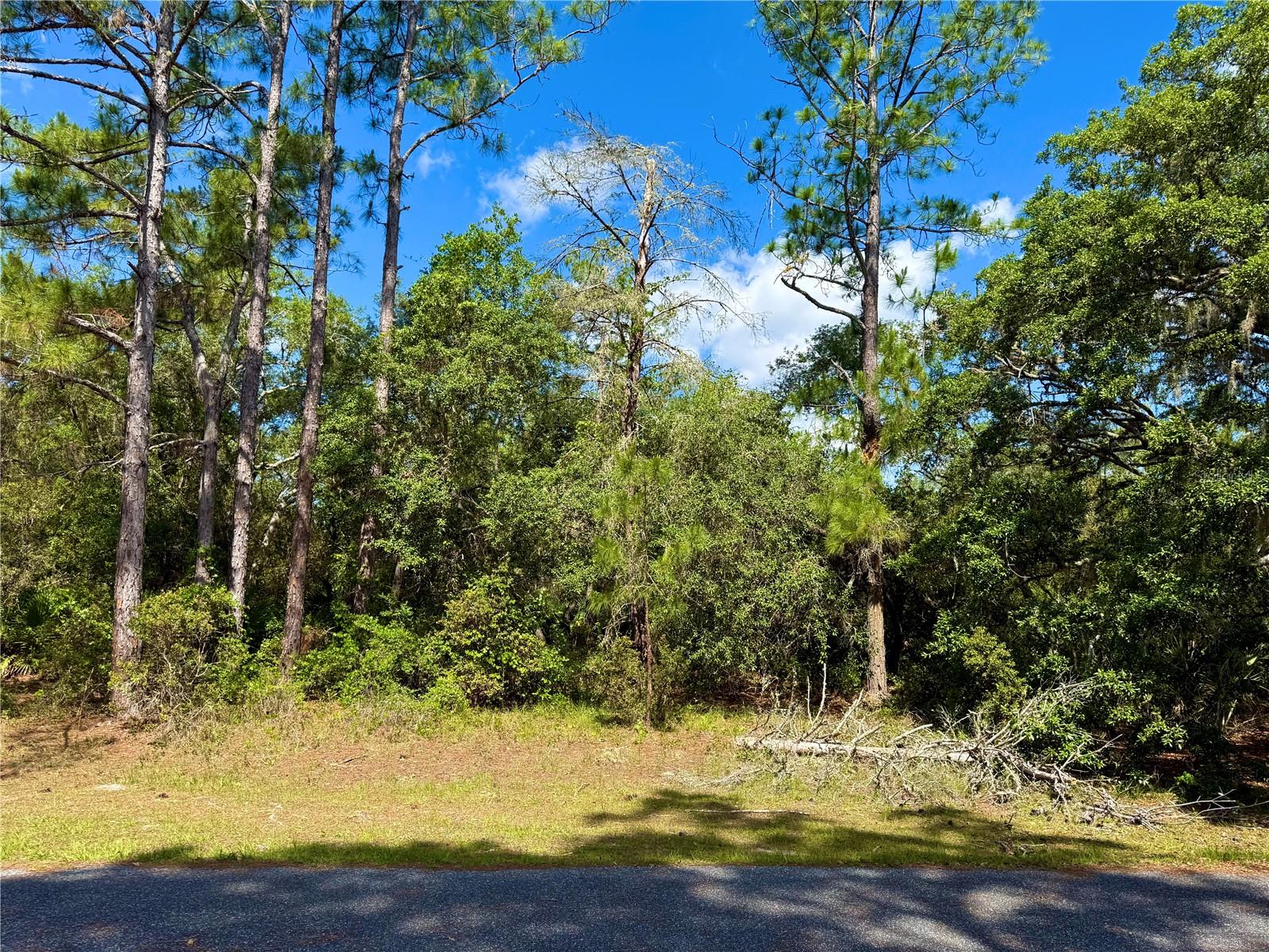 LOT 1 JERICHO TRL, EUSTIS, FL — photo 26