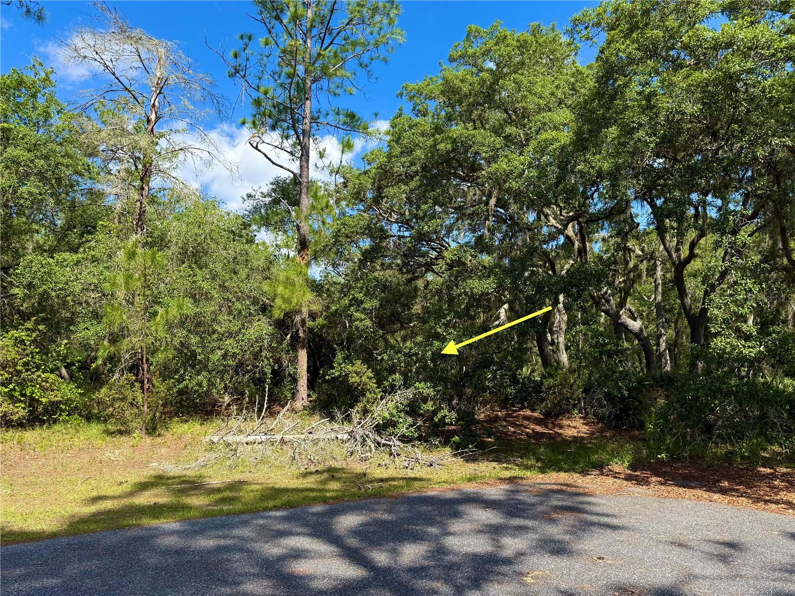 LOT 1 JERICHO TRL, EUSTIS, FL — photo 28