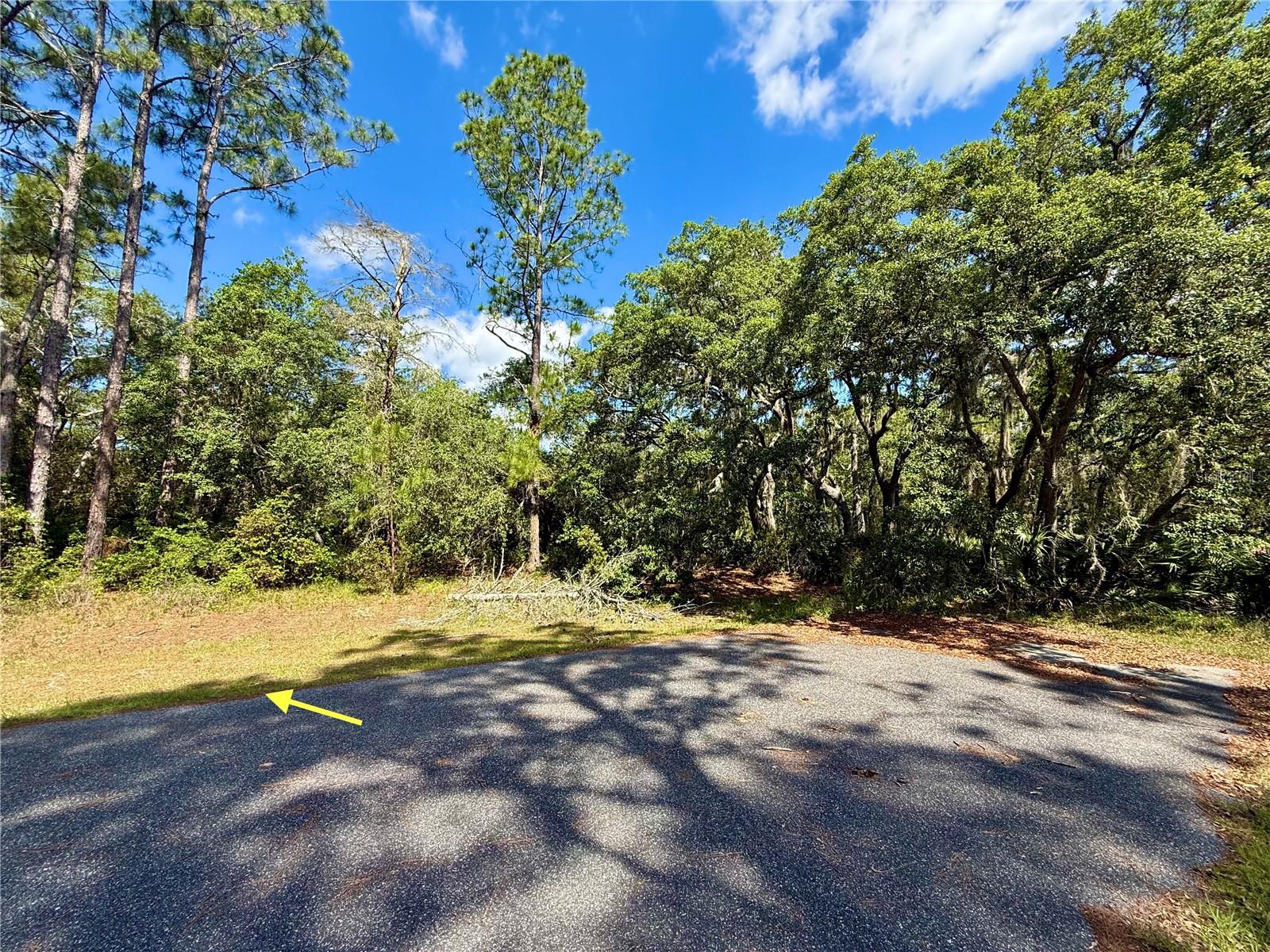 LOT 1 JERICHO TRL, EUSTIS, FL — photo 30