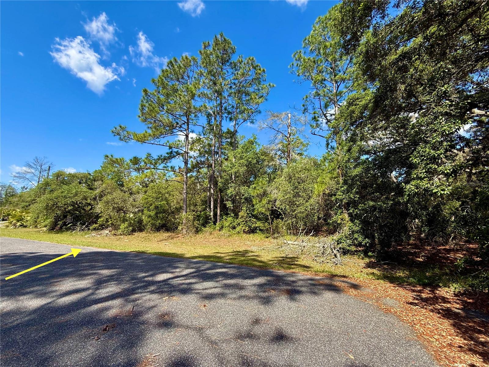 LOT 1 JERICHO TRL, EUSTIS, FL — photo 32
