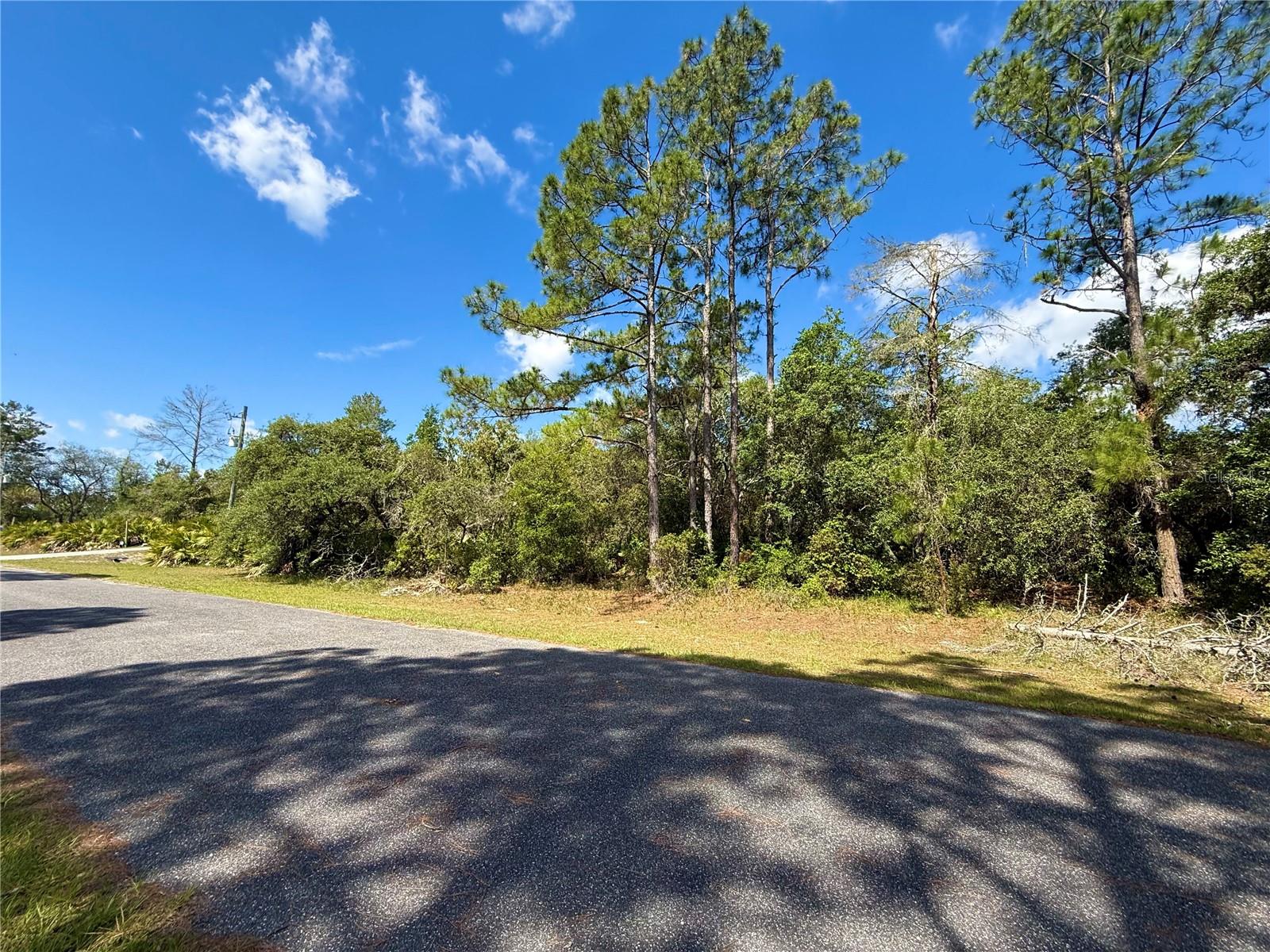 LOT 1 JERICHO TRL, EUSTIS, FL — photo 34