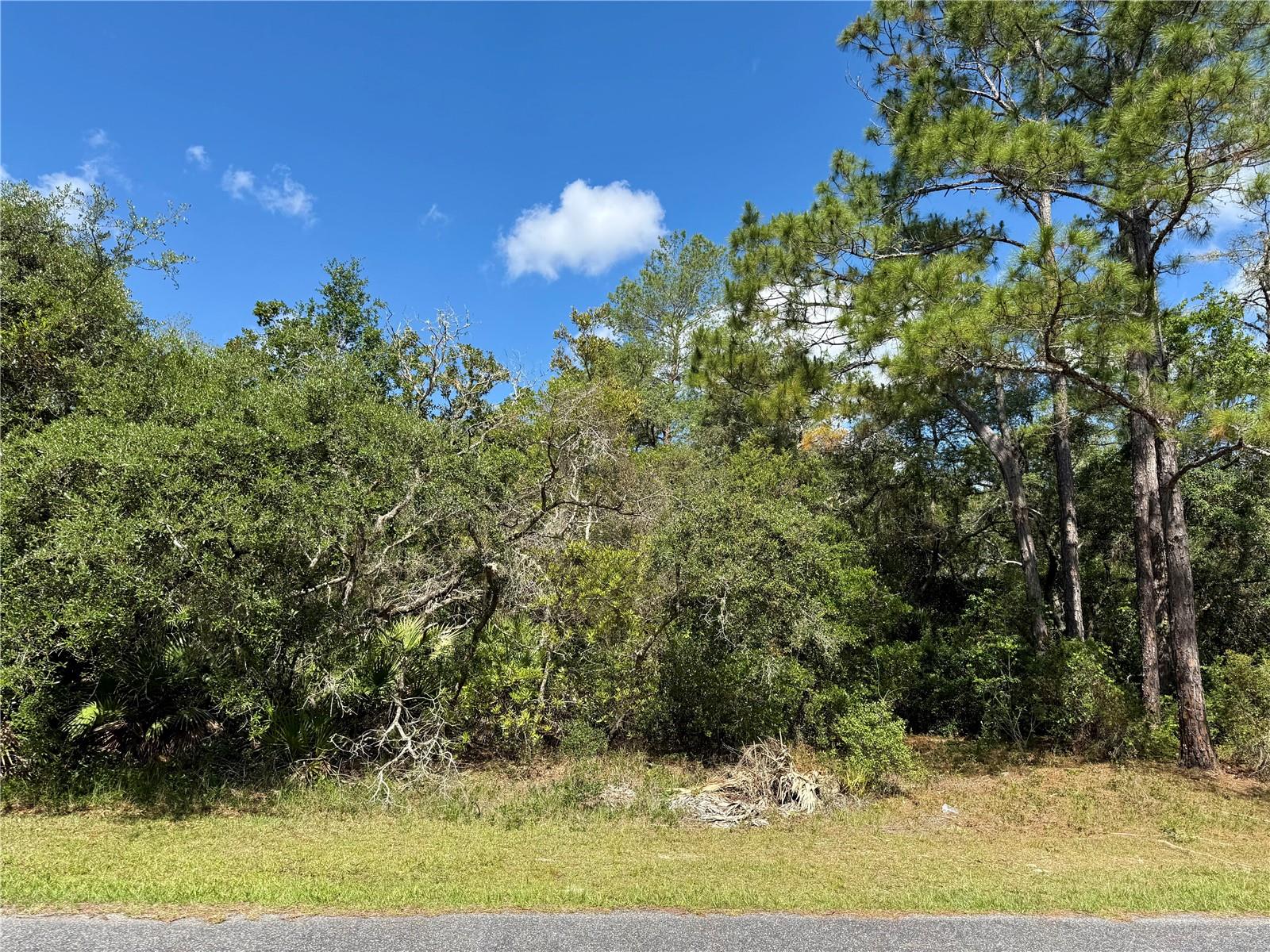 LOT 1 JERICHO TRL, EUSTIS, FL — photo 36