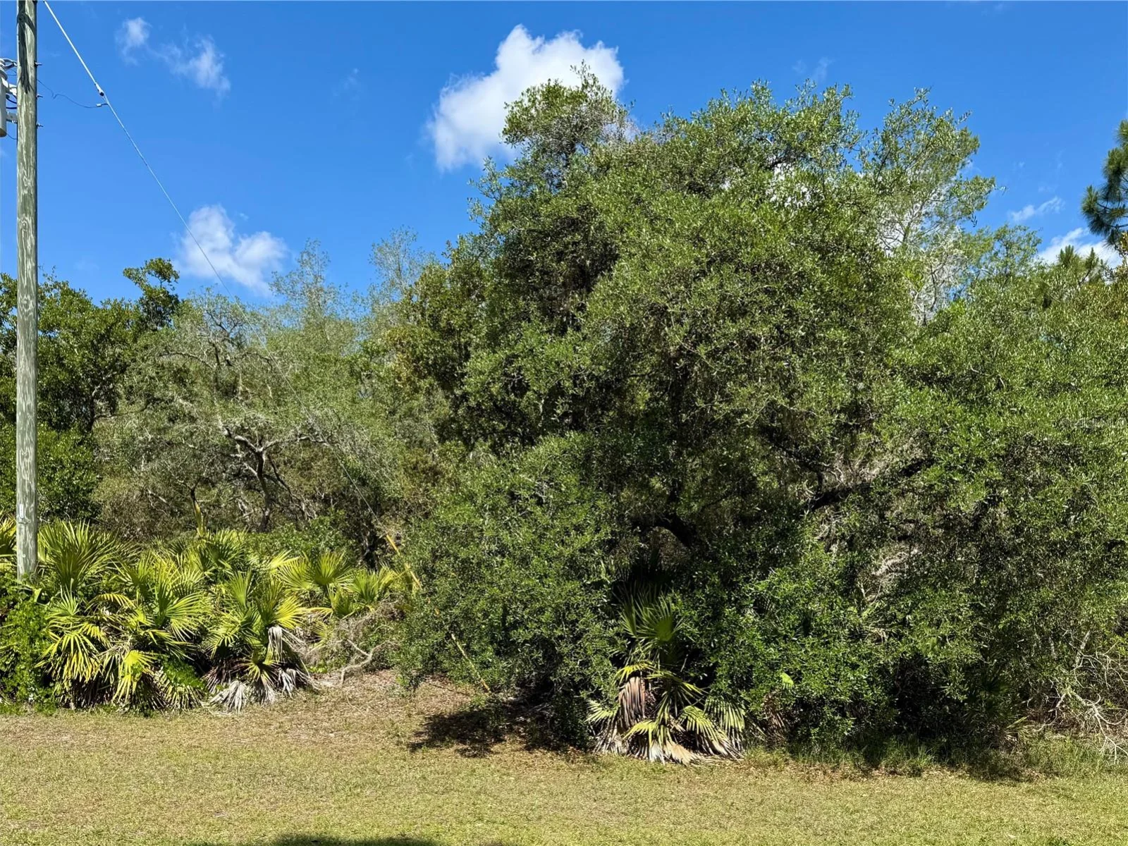 LOT 1 JERICHO TRL, EUSTIS, FL — photo 37