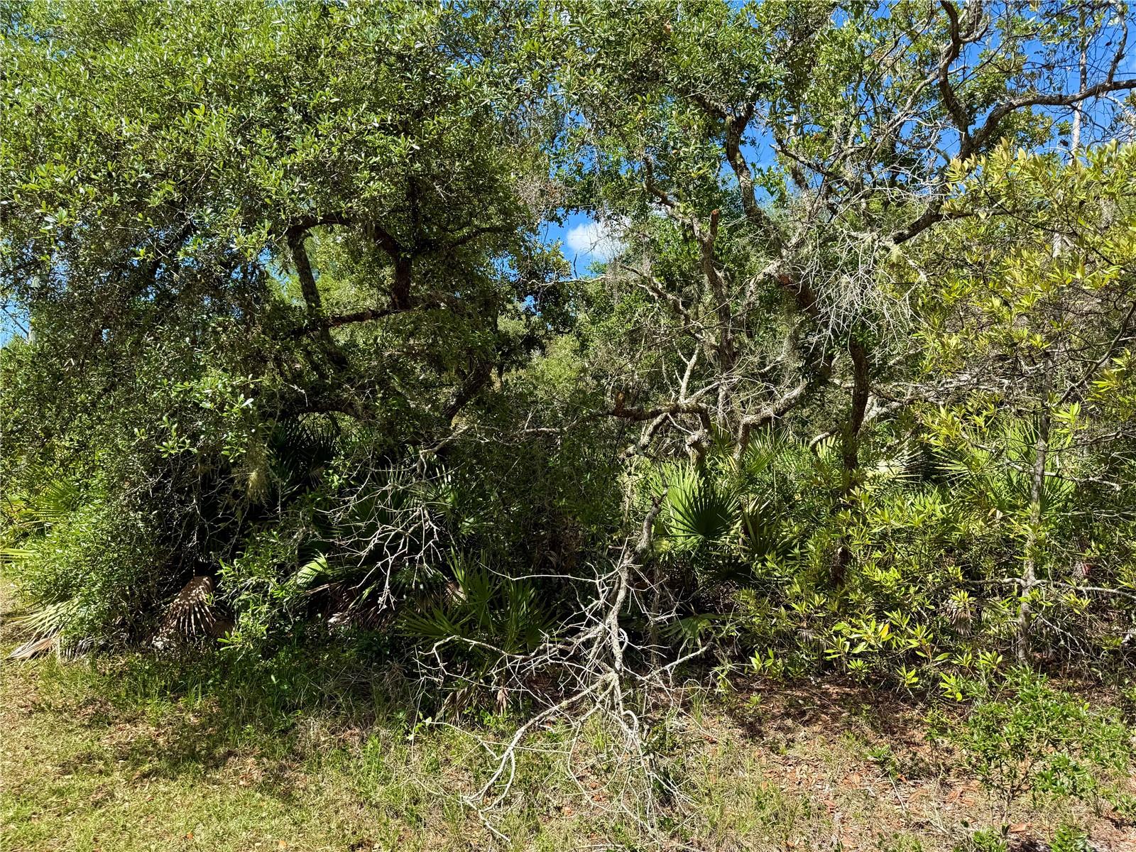 LOT 1 JERICHO TRL, EUSTIS, FL — photo 42
