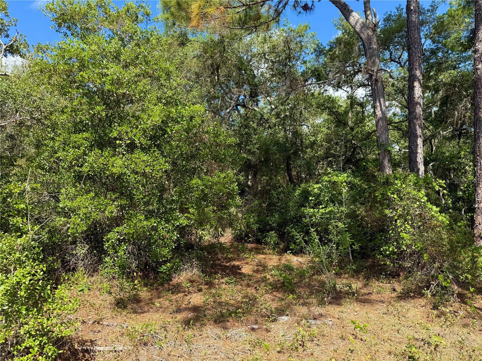 LOT 1 JERICHO TRL, EUSTIS, FL — photo 43
