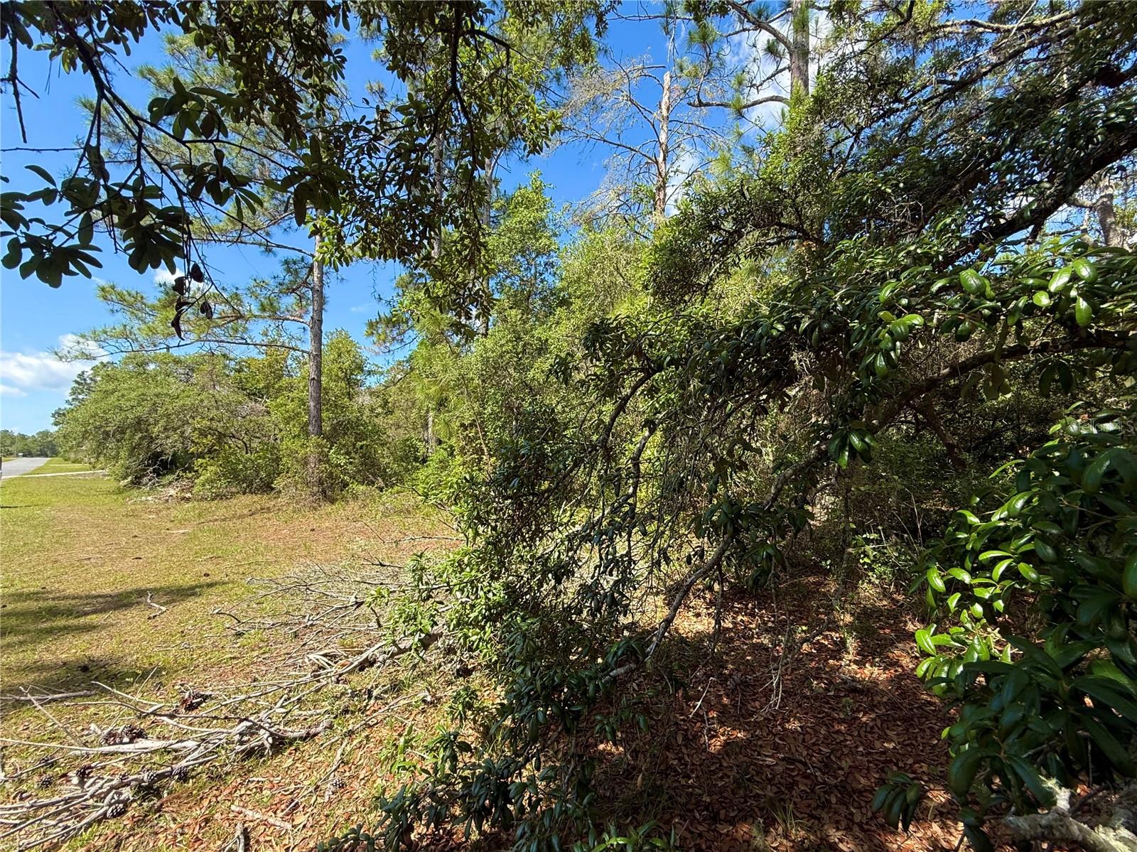 LOT 1 JERICHO TRL, EUSTIS, FL — photo 48
