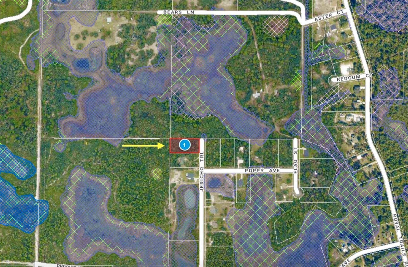 LOT 1 JERICHO TRL, EUSTIS, FL — photo 51