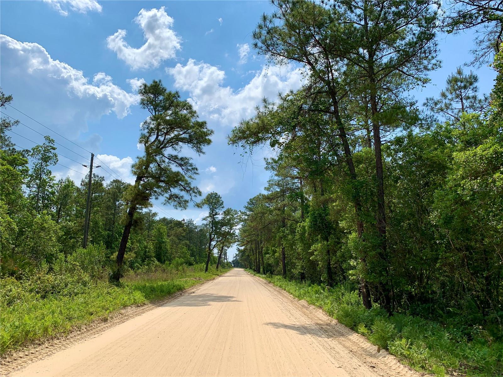 LOT 1 JERICHO TRL, EUSTIS, FL — photo 71