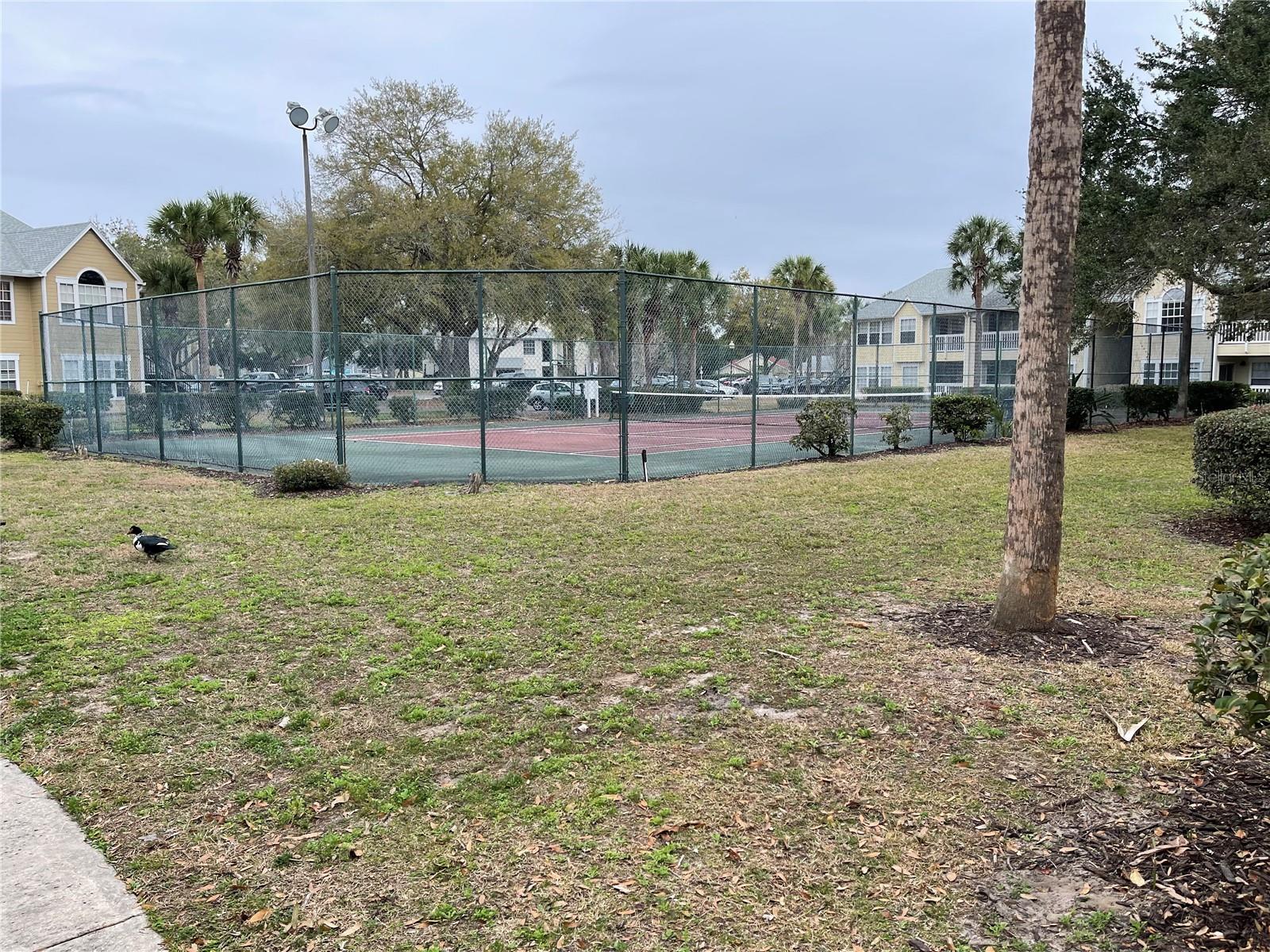 1027 S HIAWASSEE RD #2311, ORLANDO, FL — photo 21