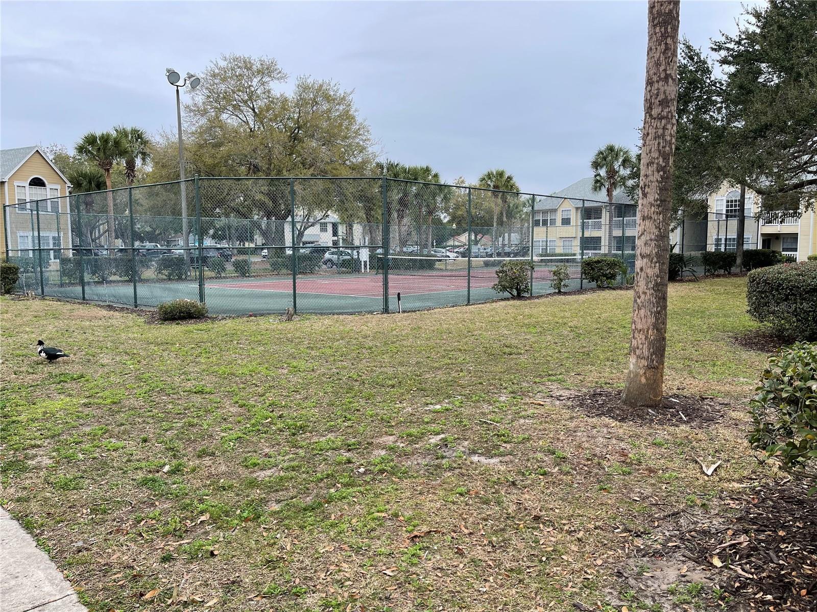 1027 S HIAWASSEE RD #2311, ORLANDO, FL — photo 46