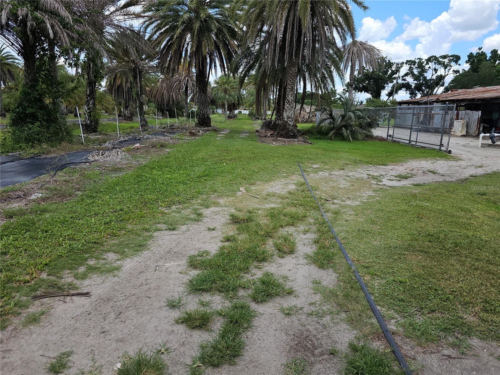 1405 6TH ST SE, RUSKIN, FL — photo 8