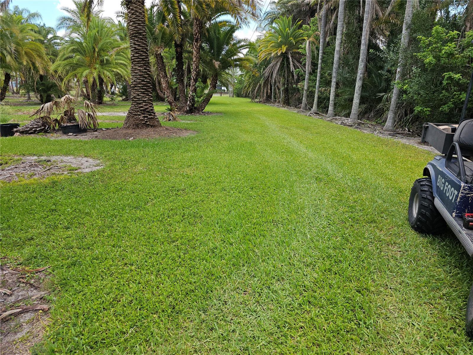 1405 6TH ST SE, RUSKIN, FL — photo 2