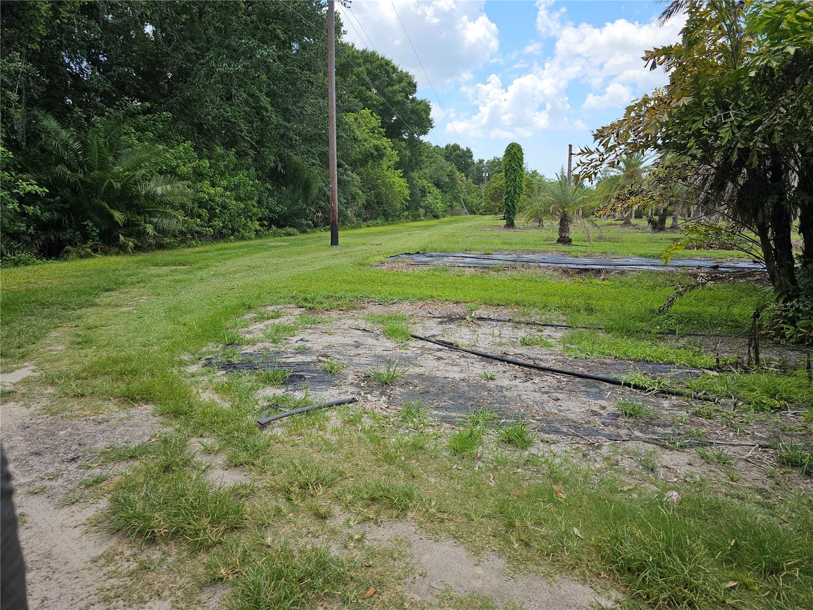 1405 6TH ST SE, RUSKIN, FL — photo 6