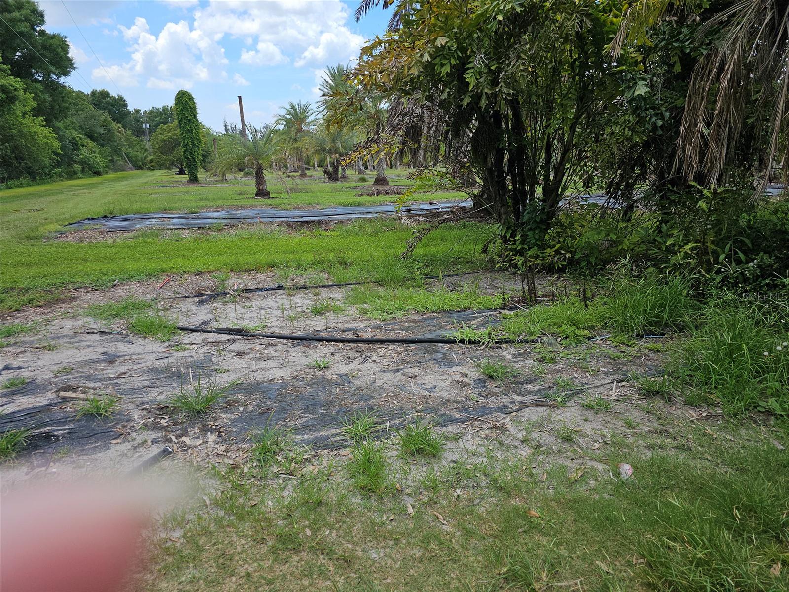 1405 6TH ST SE, RUSKIN, FL — photo 7