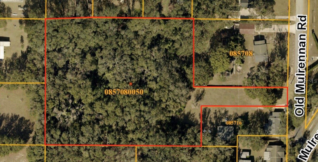 224 OLD MULRENNAN RD, VALRICO, FL — photo 2