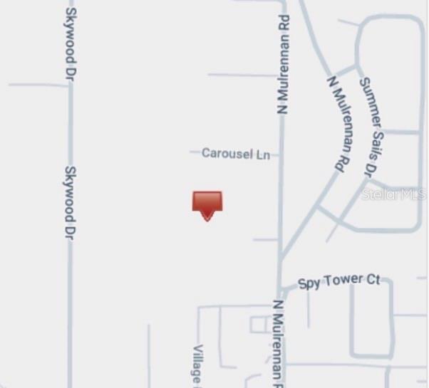 224 OLD MULRENNAN RD, VALRICO, FL — photo 4