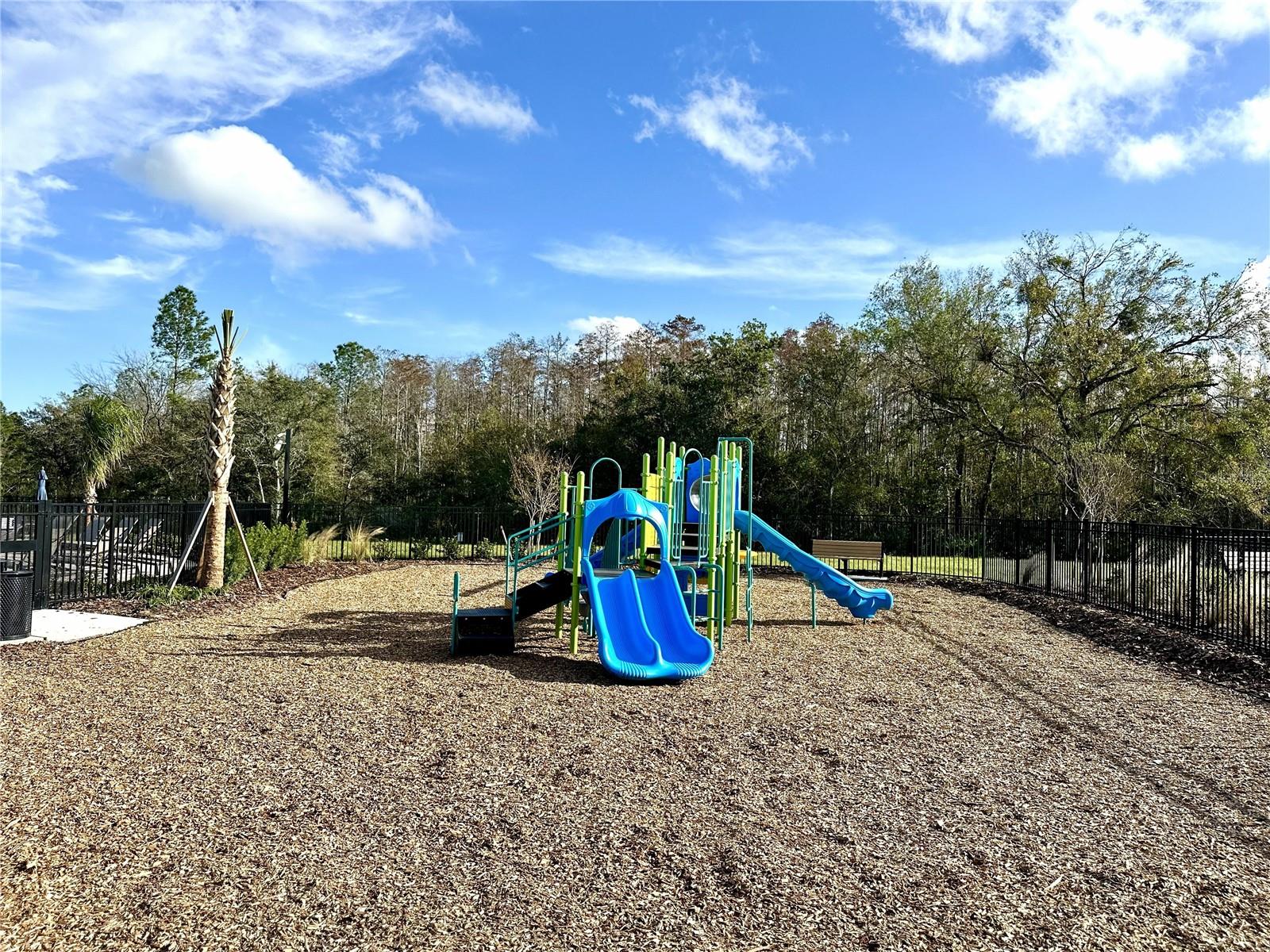 3244 SKYLINE LOOP, KISSIMMEE, FL — photo 12
