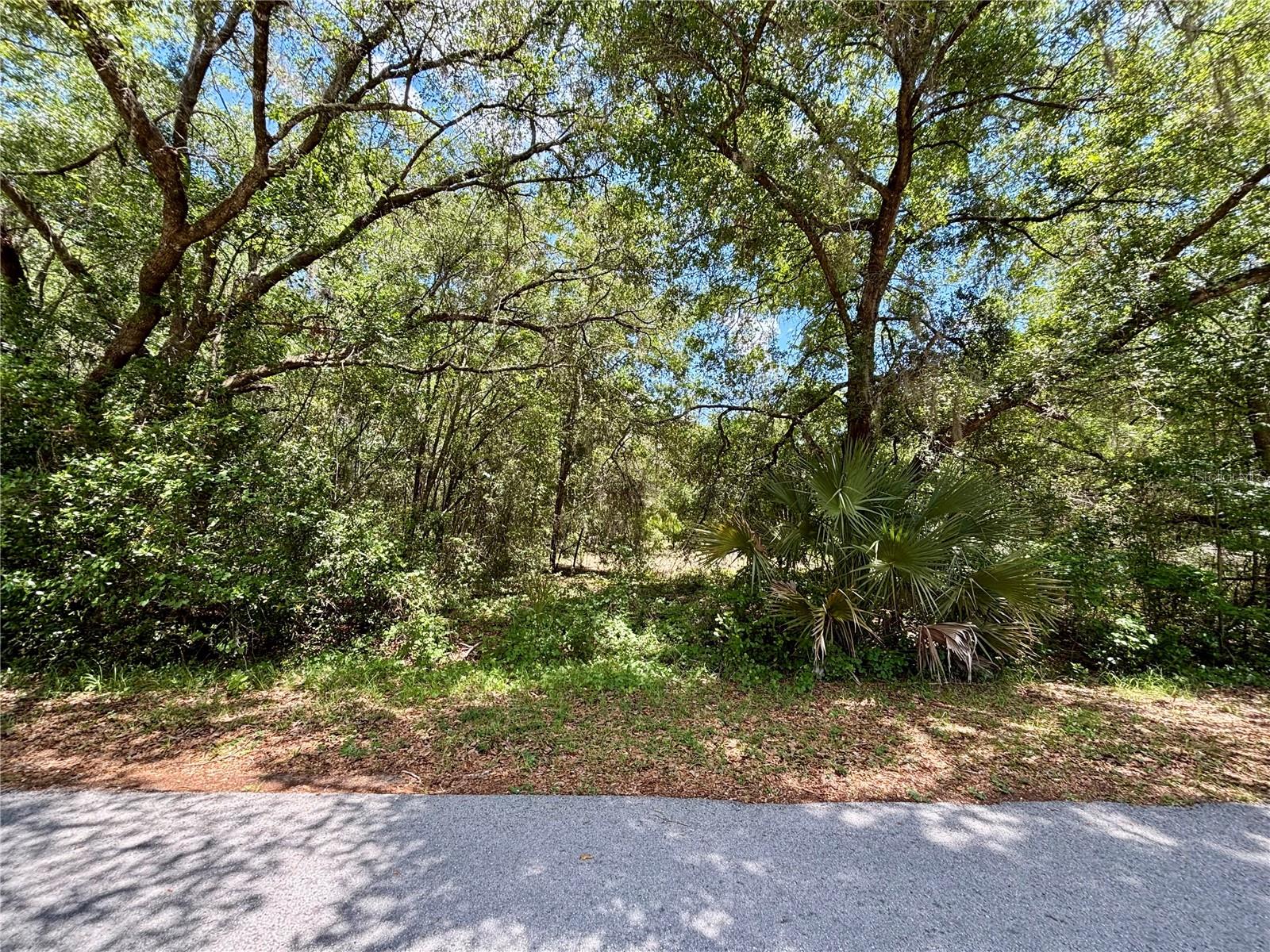 Lot 15 SW SHOREWOOD DR, DUNNELLON, FL