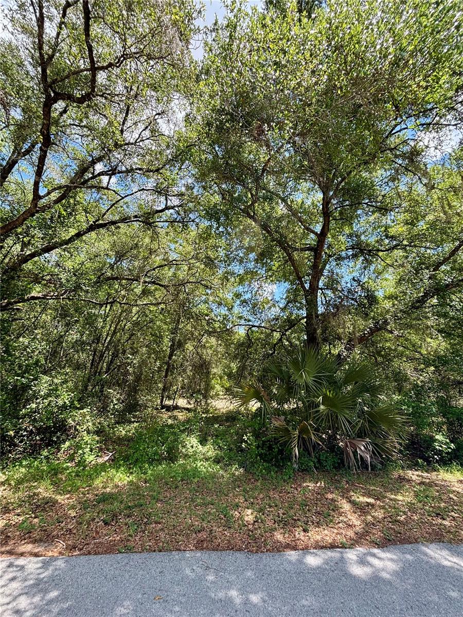 Lot 15 SW SHOREWOOD DR, DUNNELLON, FL — photo 2