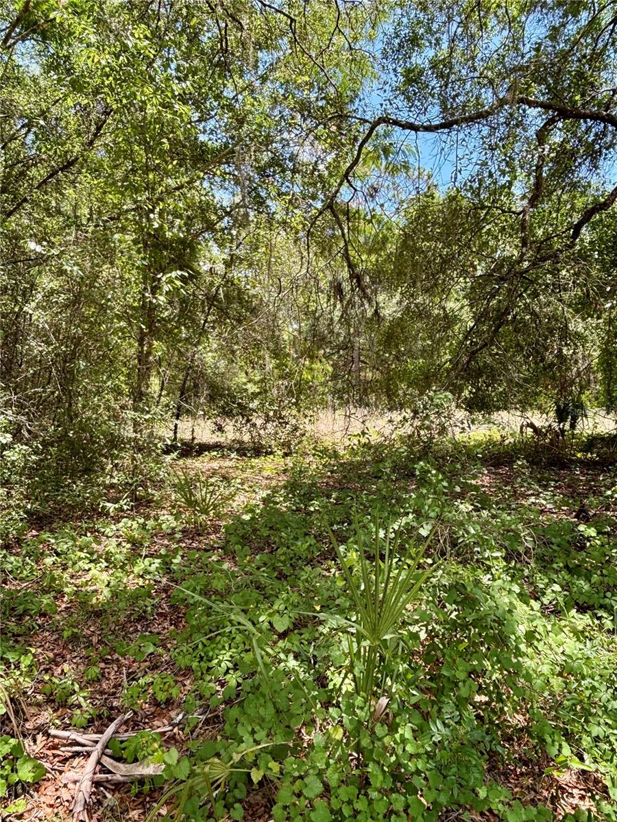 Lot 15 SW SHOREWOOD DR, DUNNELLON, FL — photo 3