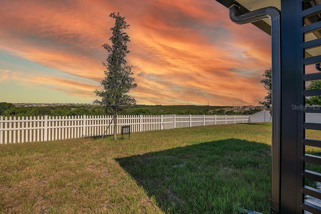 1033 CALICO POINTE CIR, GROVELAND, FL — photo 91
