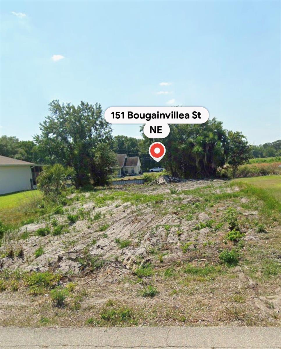 151 BOUGAINVILLEA ST NE, LAKE PLACID, FL
