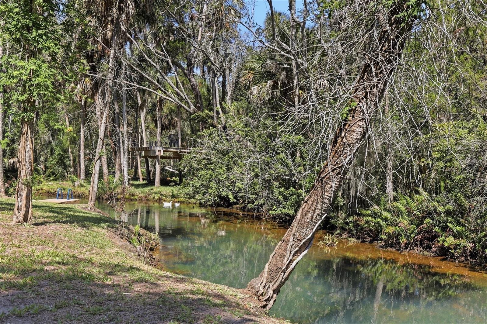 6240 COLONY CIR, WEEKI WACHEE, FL
