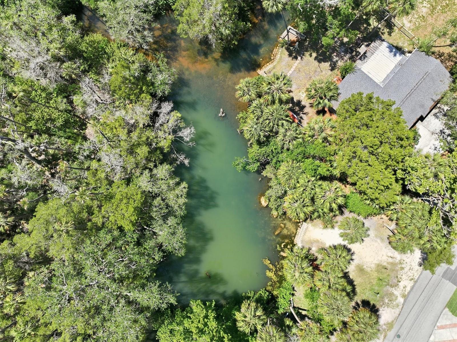 6240 COLONY CIR, WEEKI WACHEE, FL — photo 13