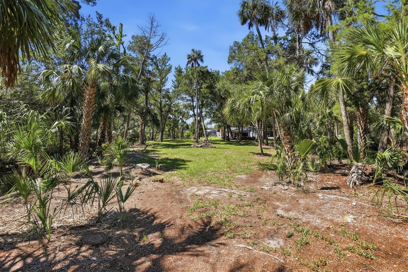 6248 COLONY CIR, WEEKI WACHEE, FL — photo 8