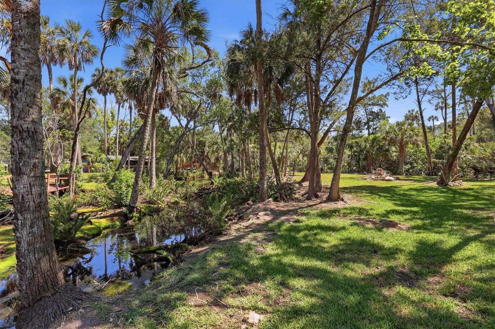 6248 COLONY CIR, WEEKI WACHEE, FL — photo 11