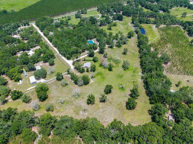 289 SW PURITAN PL, LAKE CITY, FL — photo 5
