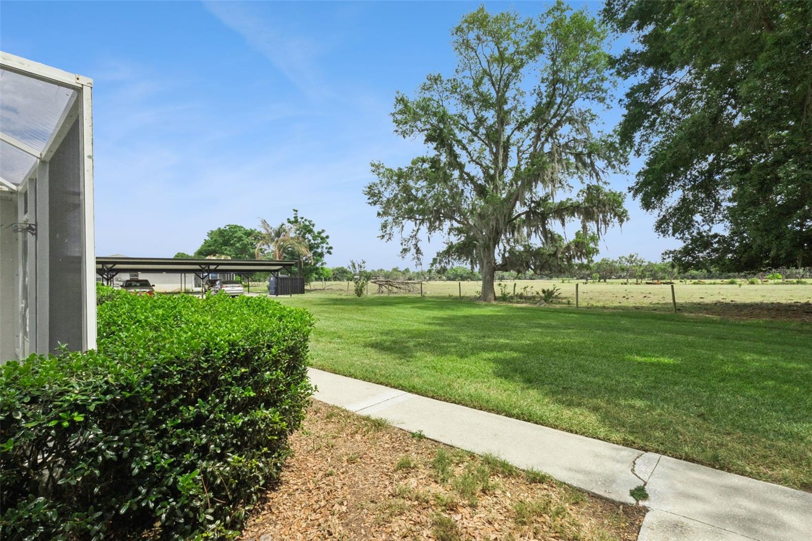 2993 POPLAR AVE, LEESBURG, FL — photo 66