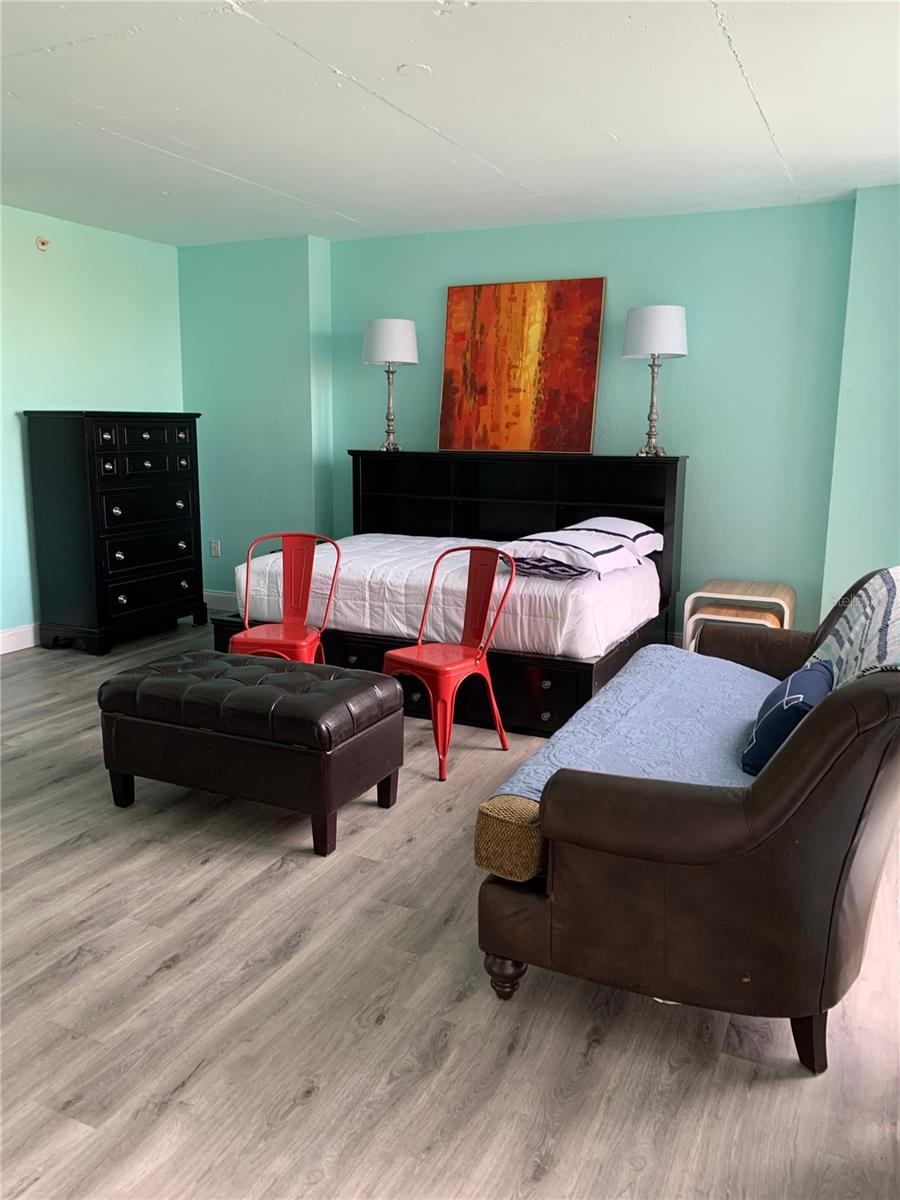 470 3RD ST S #616, ST PETERSBURG, FL — photo 3