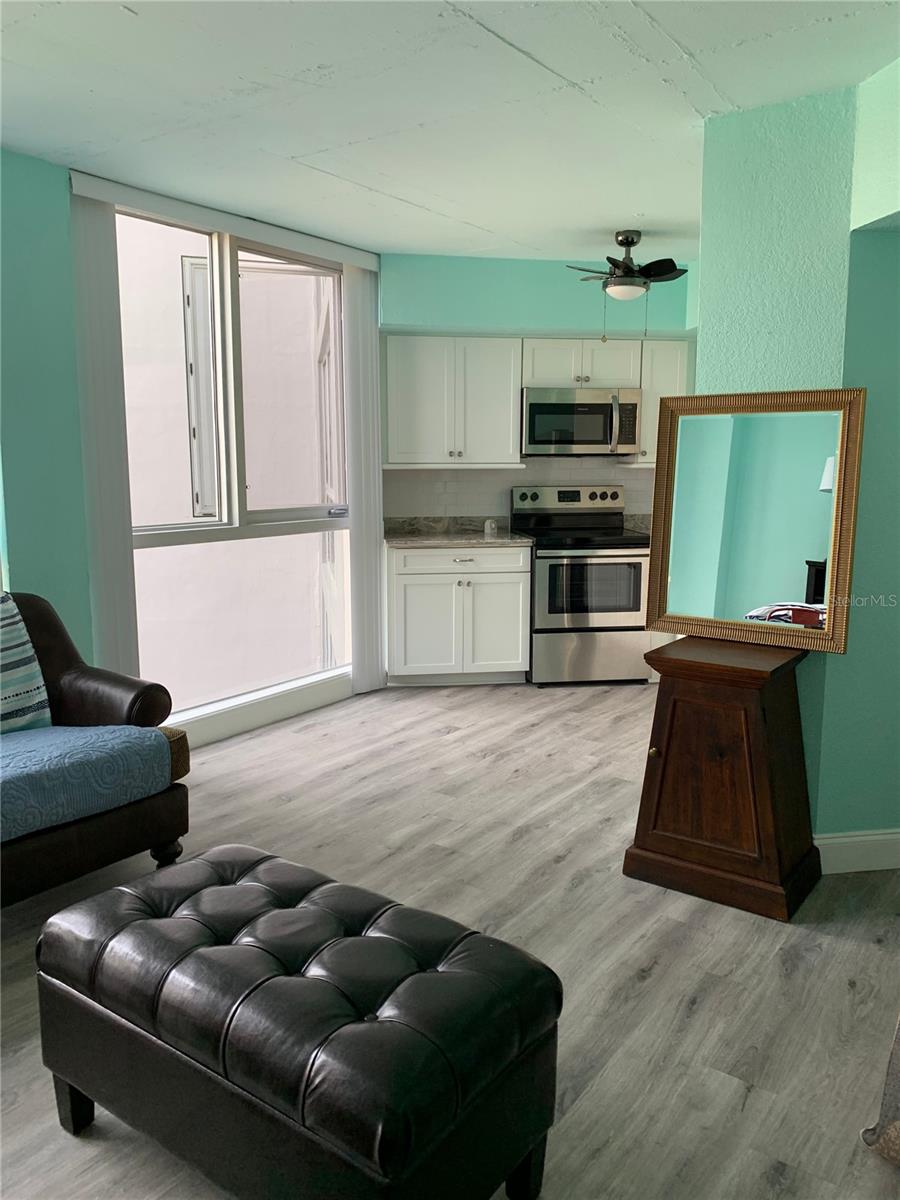 470 3RD ST S #616, ST PETERSBURG, FL — photo 4