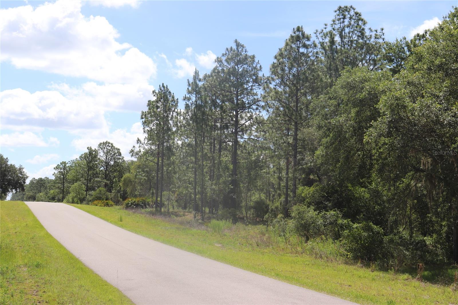TBD SE 114TH PL, DUNNELLON, FL