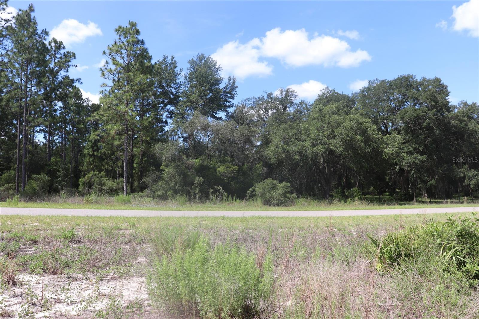 TBD SE 114TH PL, DUNNELLON, FL — photo 2
