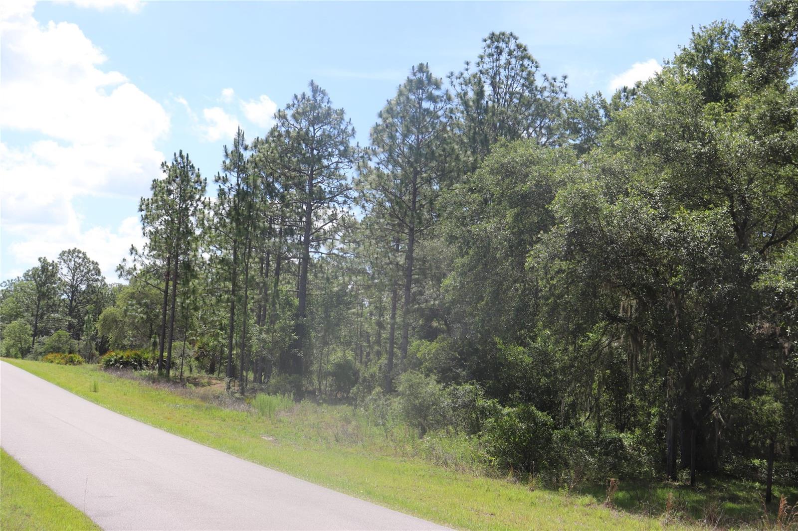 TBD SE 114TH PL, DUNNELLON, FL — photo 4