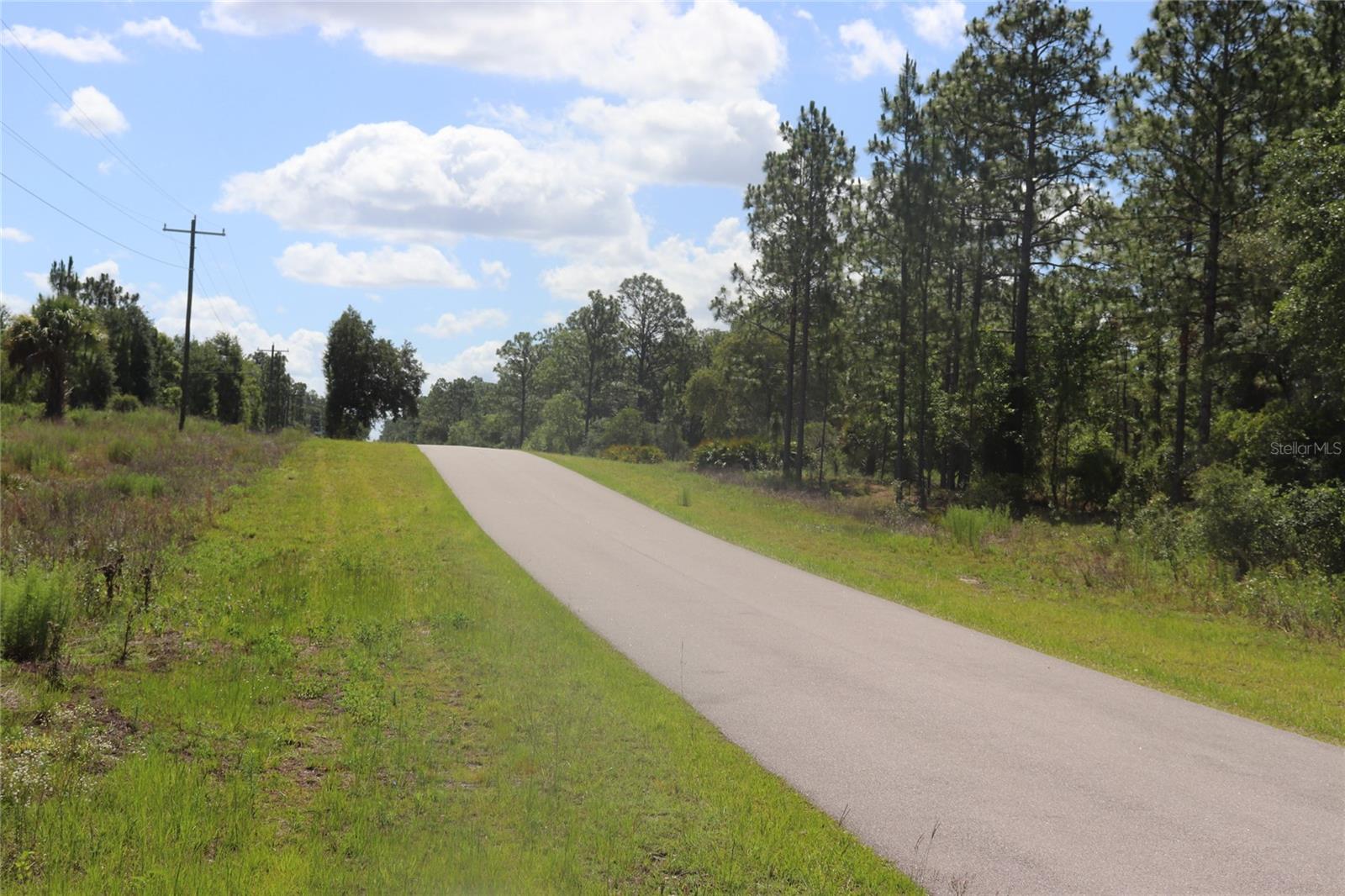 TBD SE 114TH PL, DUNNELLON, FL — photo 5