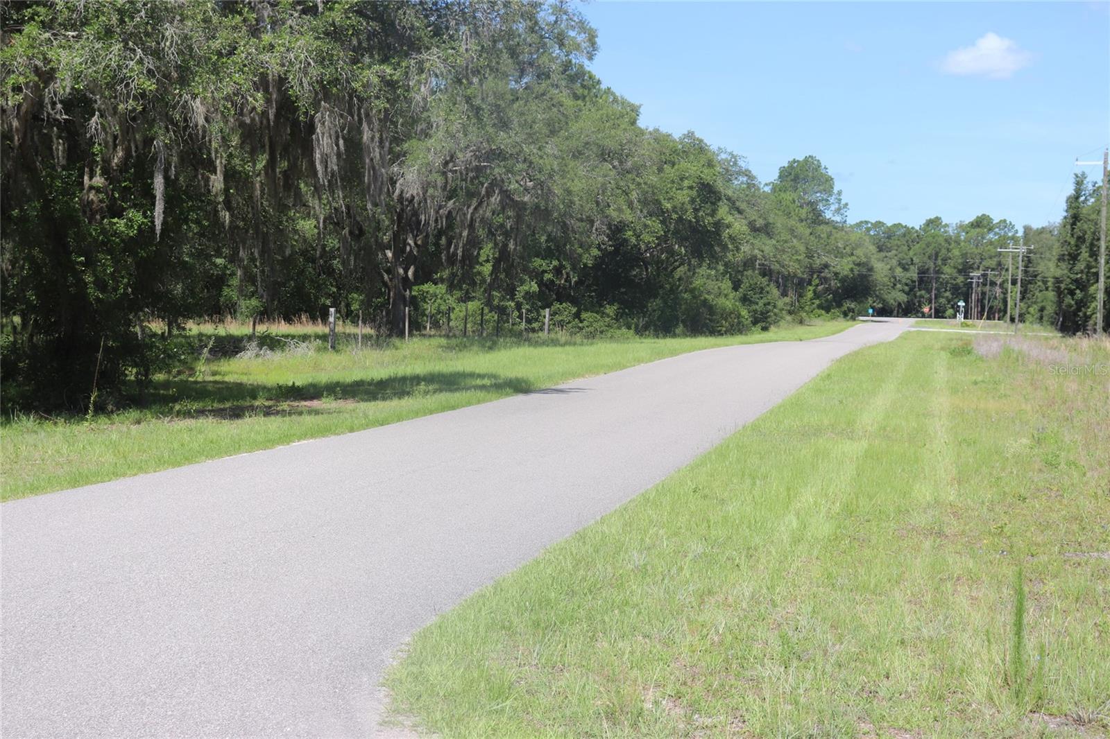TBD SE 114TH PL, DUNNELLON, FL — photo 6