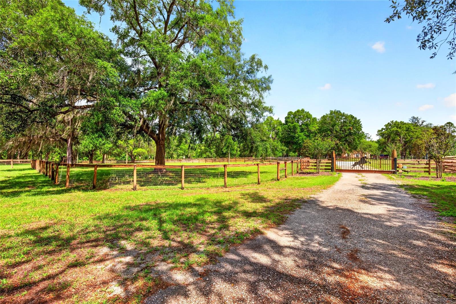 11630 SE 78TH ST, MORRISTON, FL — photo 5