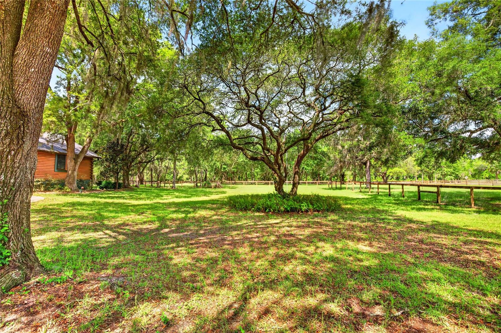 11630 SE 78TH ST, MORRISTON, FL — photo 50