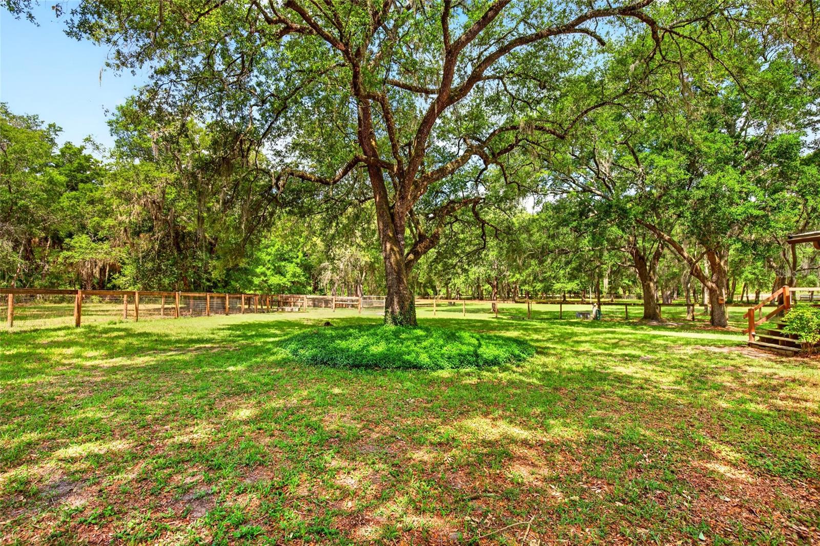 11630 SE 78TH ST, MORRISTON, FL — photo 51