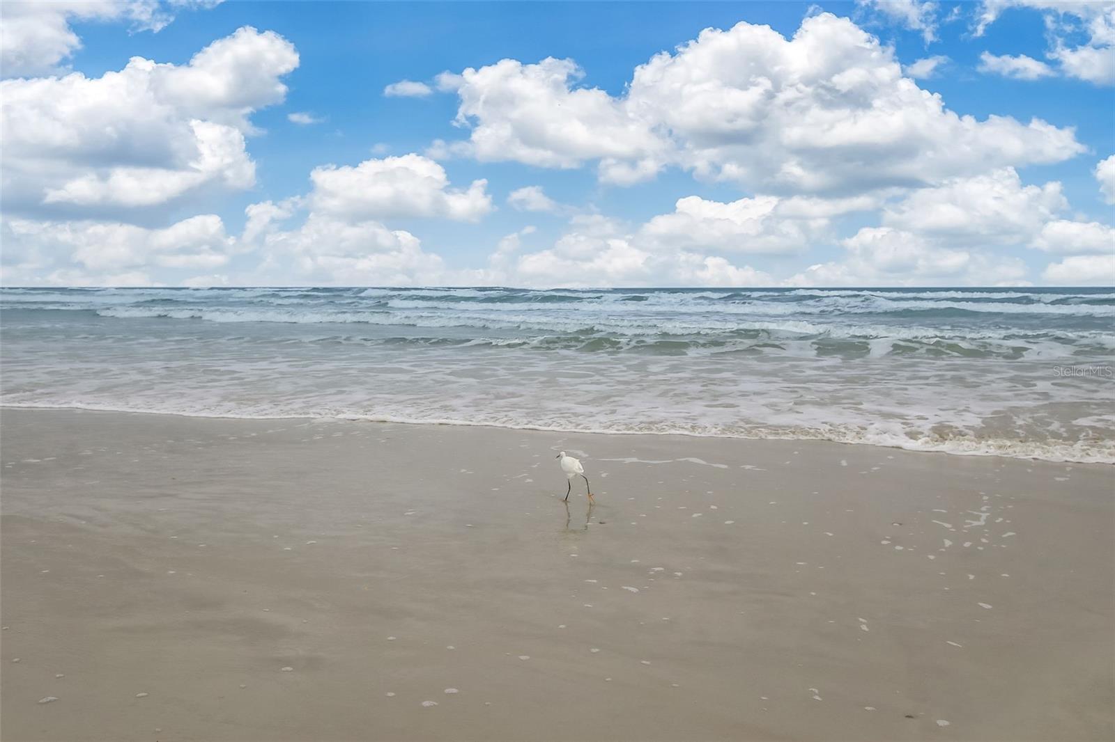 6300 S A1A #A5 1U, ST AUGUSTINE, FL — photo 48