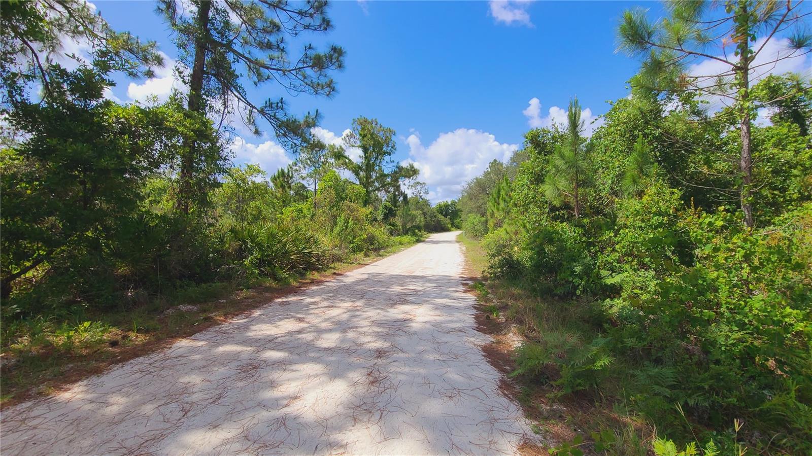 2575 BEAR RUN S, FROSTPROOF, FL — photo 3